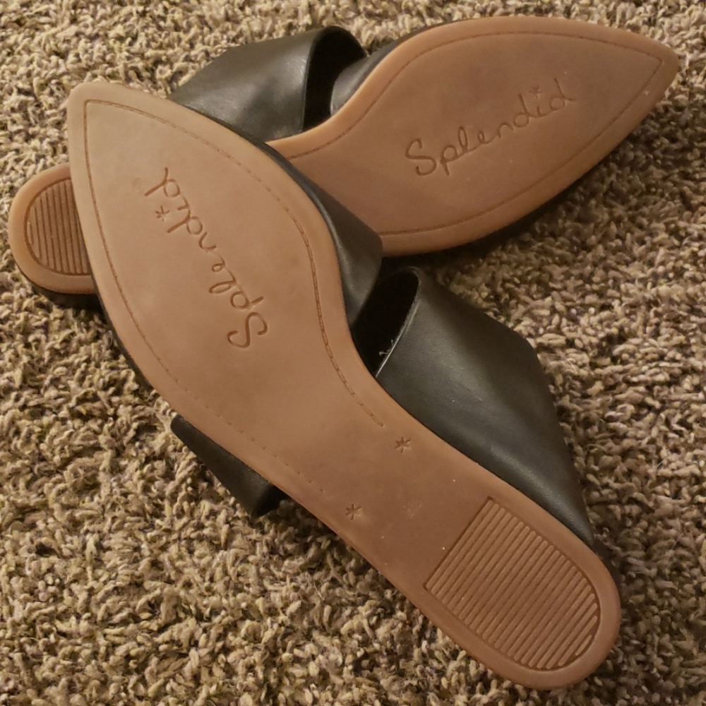 Splendid Slides - Picture 3 of 4